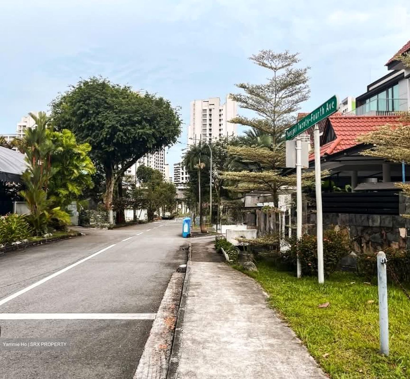 Ponggol Twenty-fourth Avenue (D19), Detached #558333671